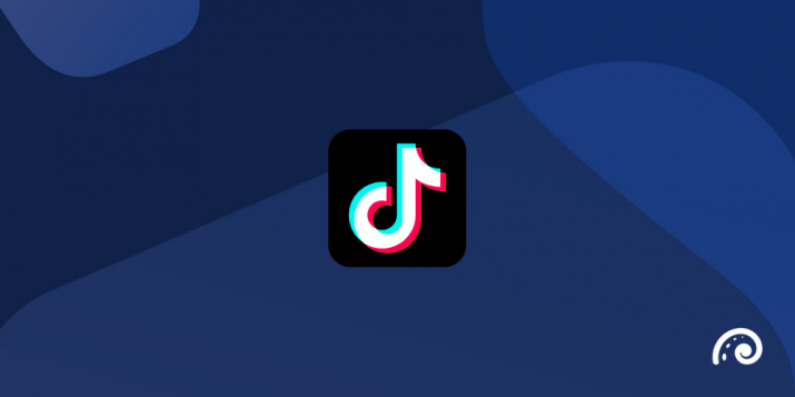 Blog about B2B tiktok marketing examples
